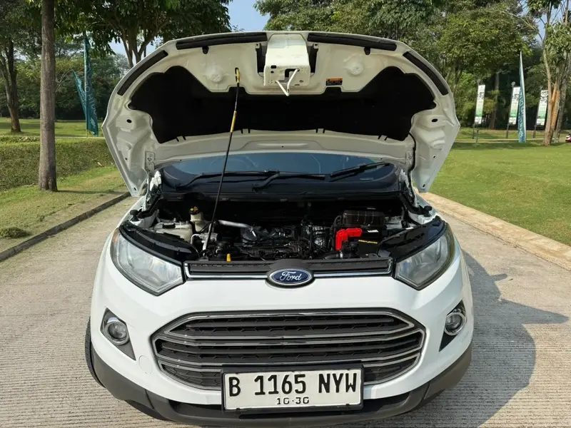 Ford EcoSport Titanium 2014, foto 19